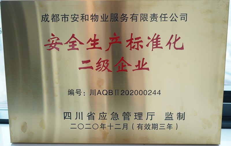 安全生产标准化二级企业.jpg